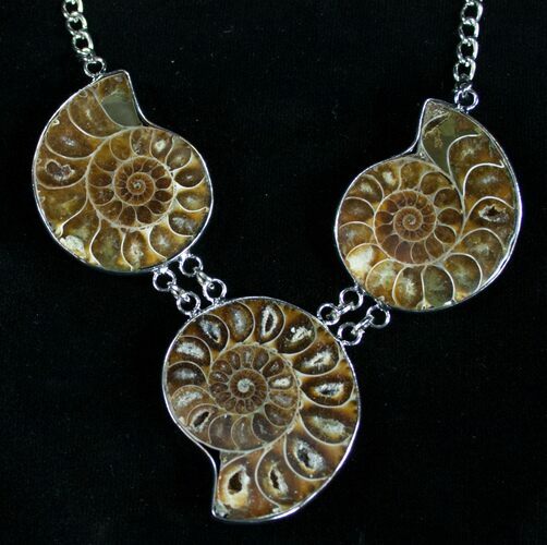 Triple Ammonite Necklace - Million Years Old #8900